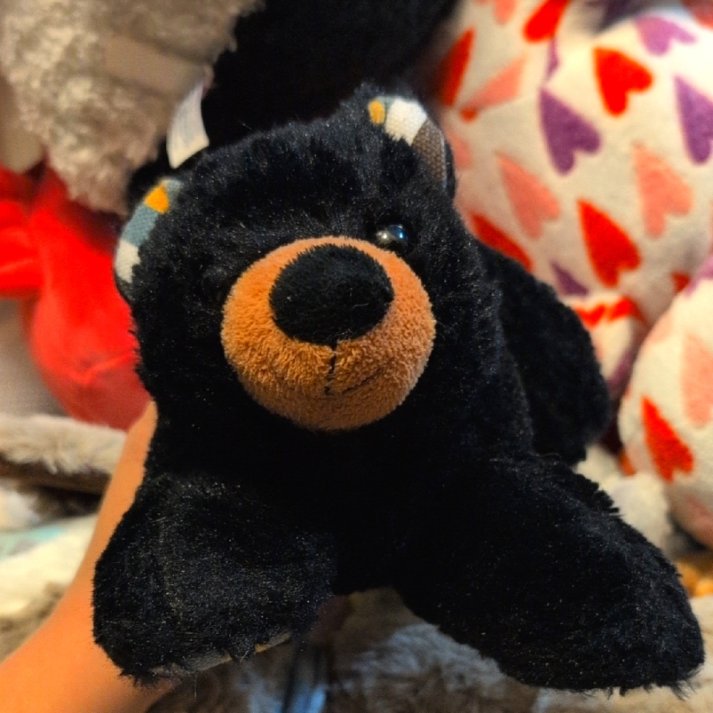 Plush Black Bear Toy